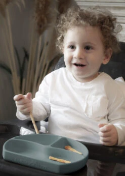 Babyjem Grijs Siliconen Bordje 715 -Babyverzorging Winkel babyjem mint siliconen bordje 715 5 1