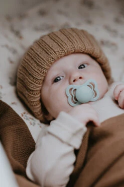 Bibs Try-it Sage 0-6 Mnd 4 Stuks Fopspenen 91343 -Babyverzorging Winkel bibs supreme fopspeen 2 3