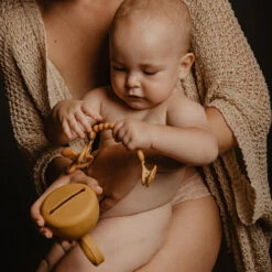 Suavinex Essence Mustard Silicone Speenhouder SXSEZ00081412 8 Suavinex Essence Mustard Silicone Speenhouder SXSEZ00081412 -Babyverzorging Winkel colour essence soother case mango 3 3